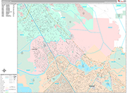Union City Wall Map Premium Style